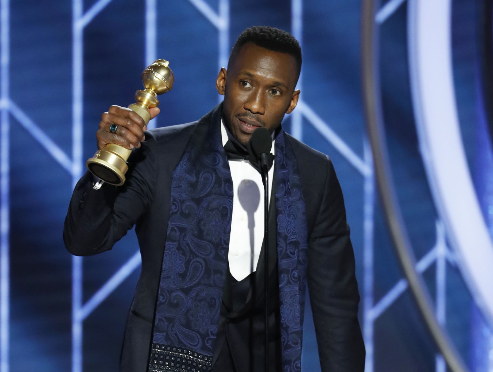 76th Annual Golden Globe Awards - Show
